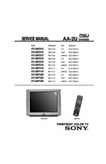 Sony SCCS44AA OEM Service